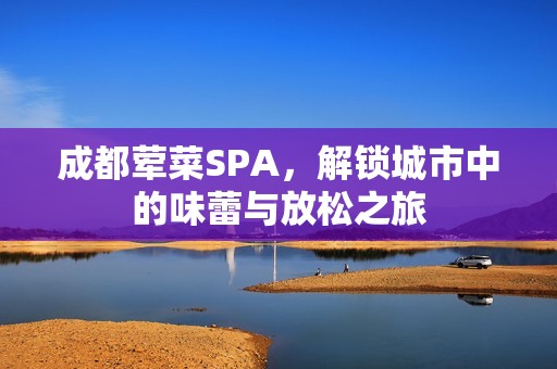 成都荤菜SPA，解锁城市中的味蕾与放松之旅