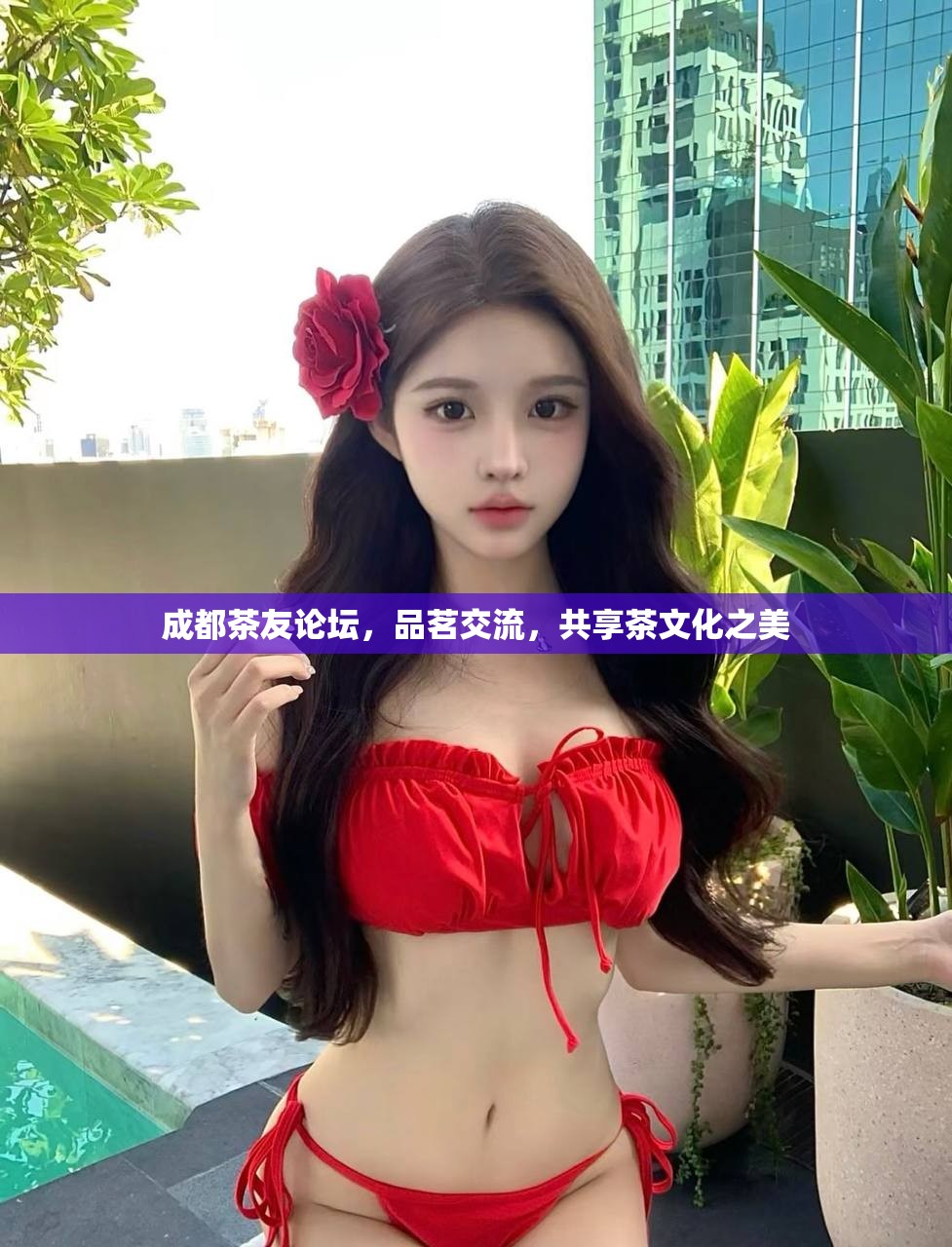 成都茶友论坛，品茗交流，共享茶文化之美