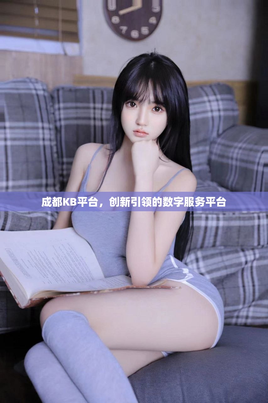 成都KB平台，创新引领的数字服务平台
