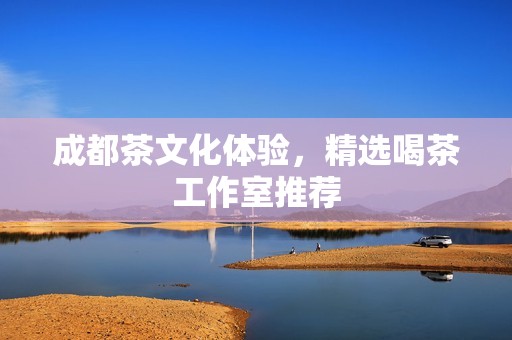 成都茶文化体验，精选喝茶工作室推荐