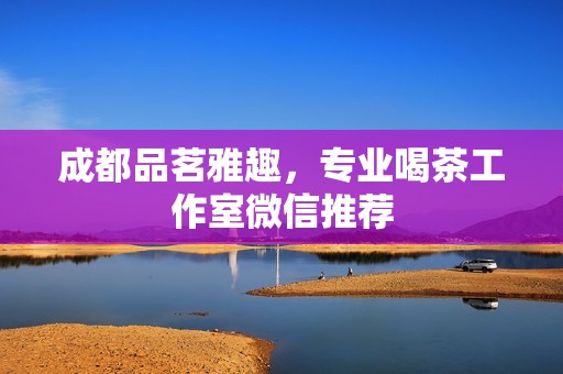 成都品茗雅趣，专业喝茶工作室微信推荐