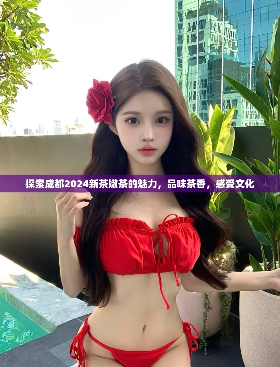 探索成都2024新茶嫩茶的魅力，品味茶香，感受文化