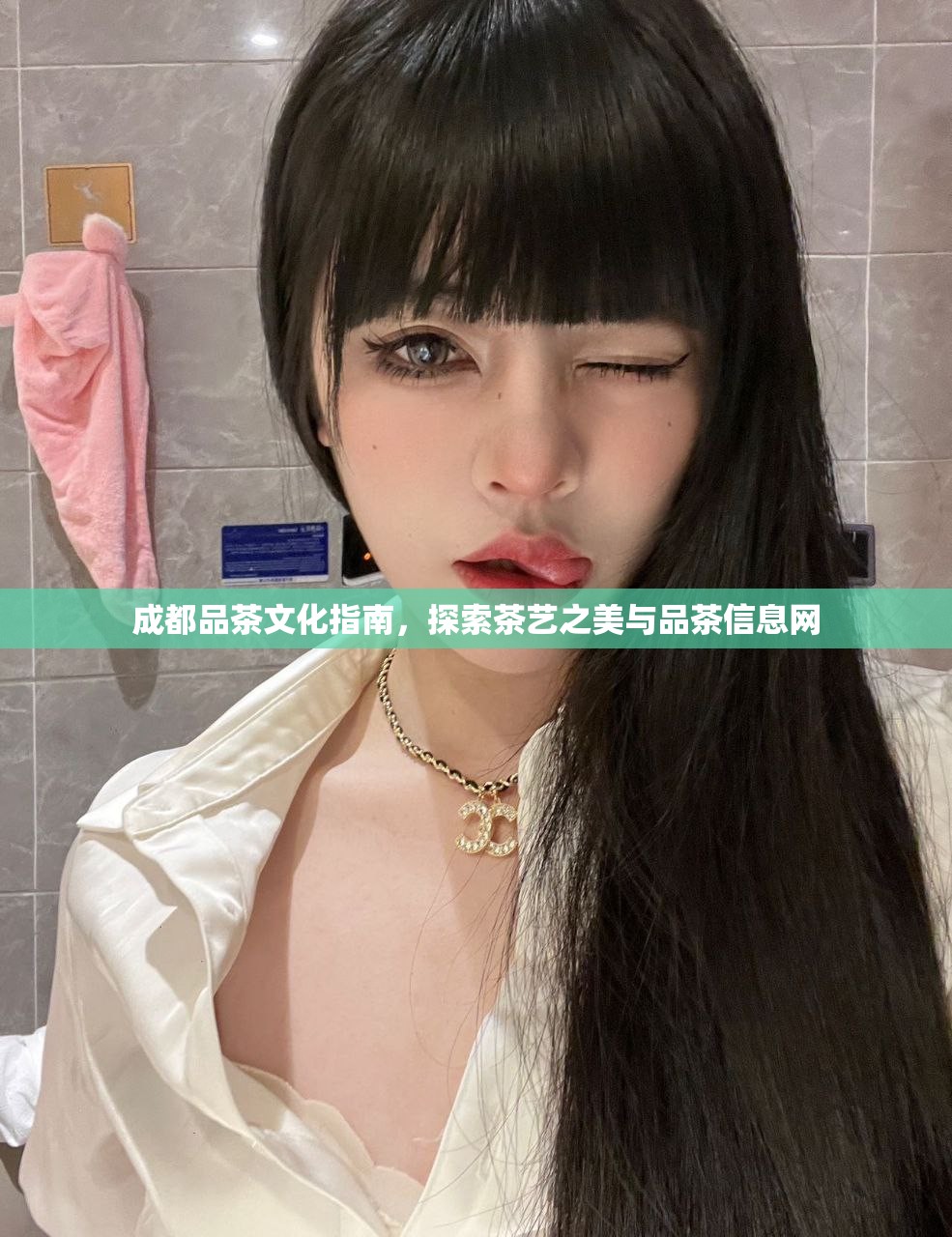 成都品茶文化指南，探索茶艺之美与品茶信息网