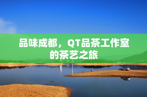 品味成都，QT品茶工作室的茶艺之旅