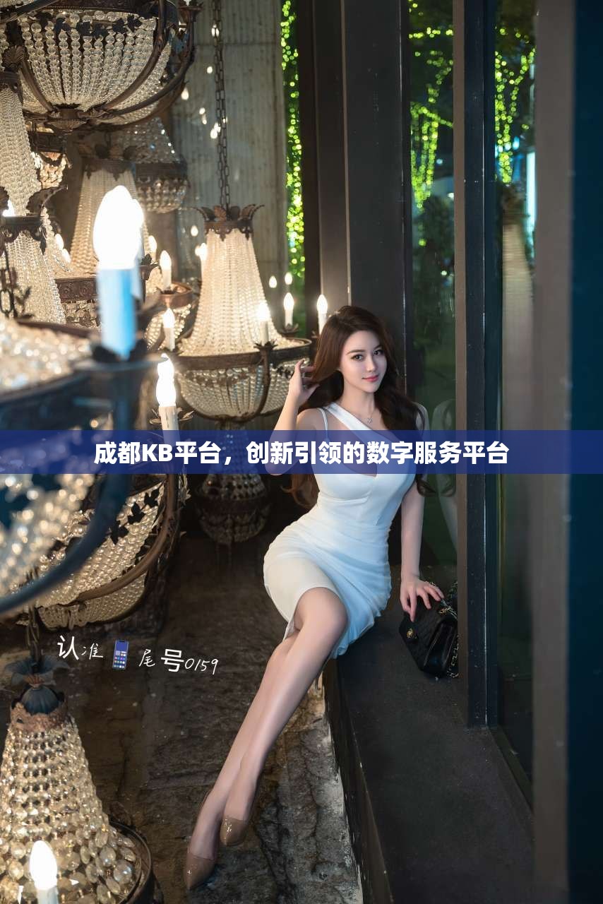 成都KB平台，创新引领的数字服务平台